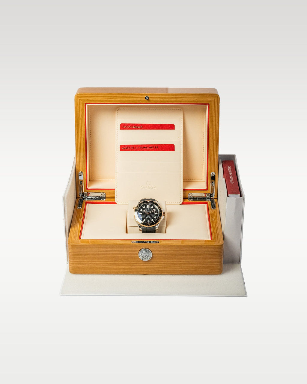 Omega Seamaster 300 21022422001002