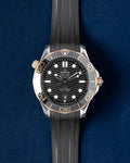 Omega Seamaster 300 21022422001002