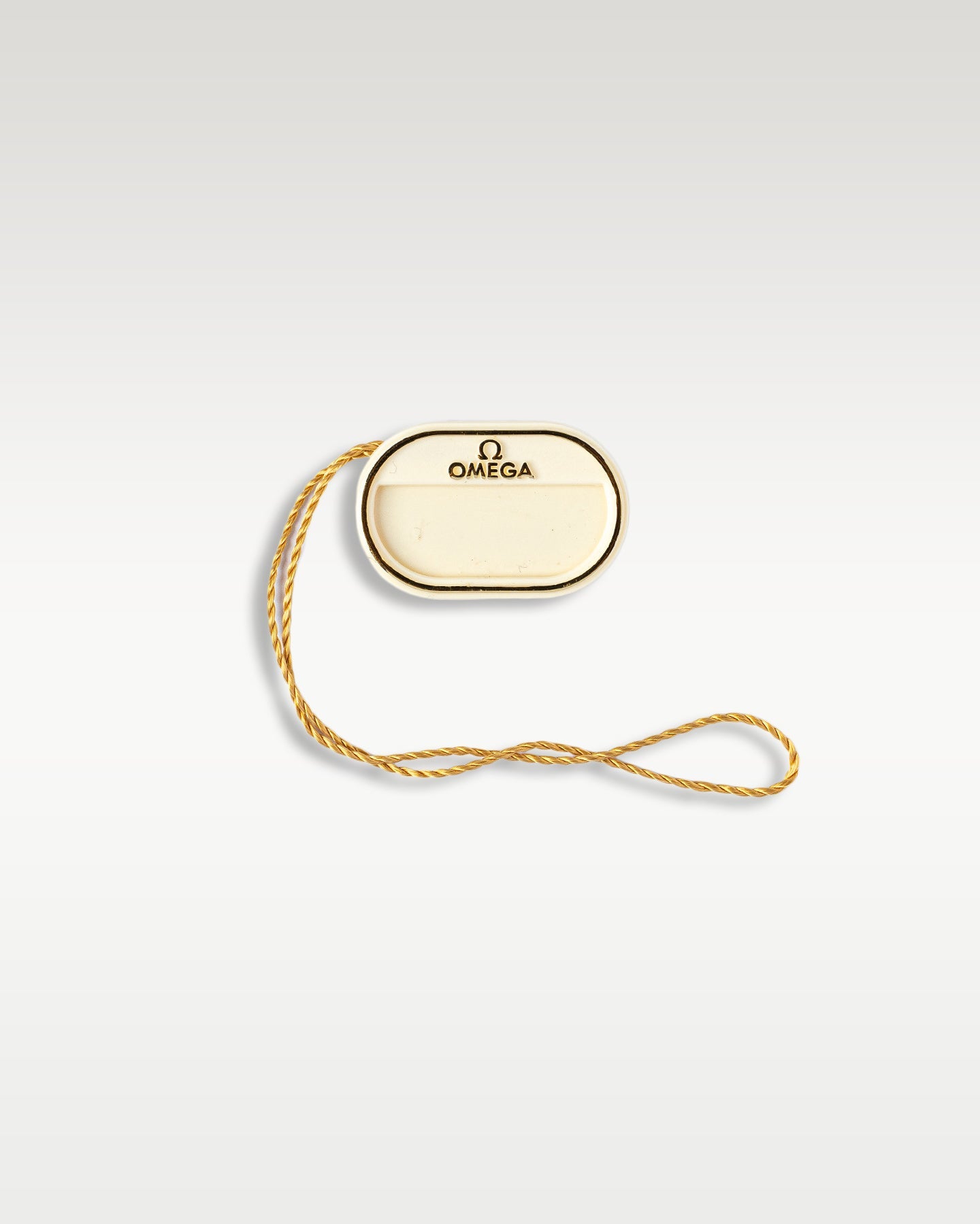 Omega Seamaster 300 21022422001002