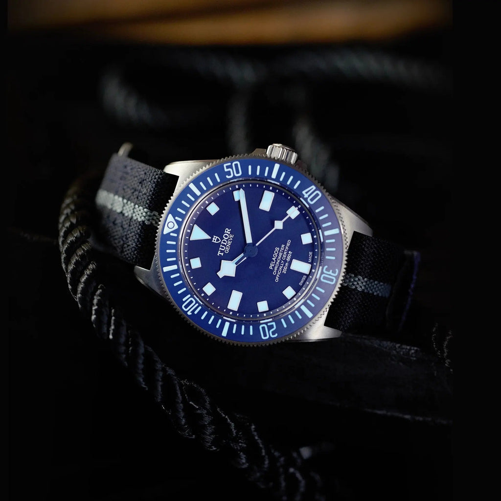 TUDOR Watch Pelagos FXD 42mm M25707B/XX-0001